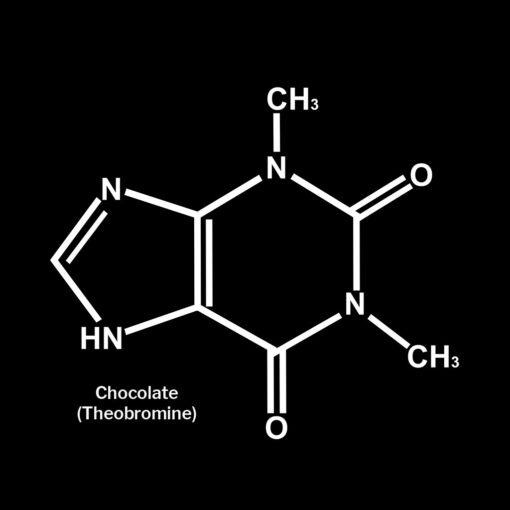 Chocolate Molecular Structure T-Shirt